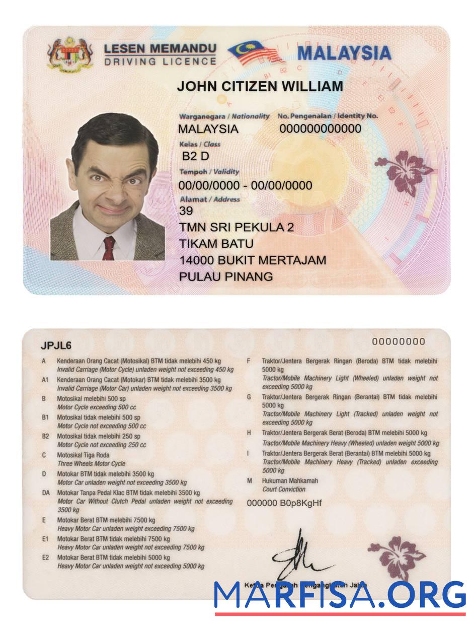 Realistic Malaysia driving license real example